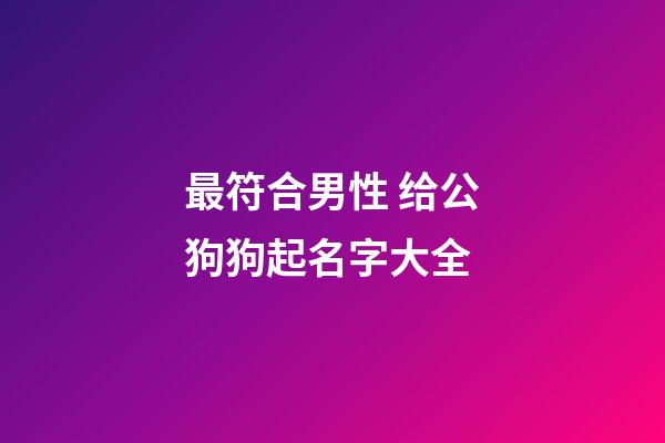 最符合男性 给公狗狗起名字大全
